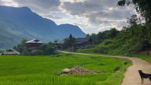 Sapa Homestay Trekking 