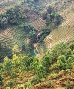 sapa trekking