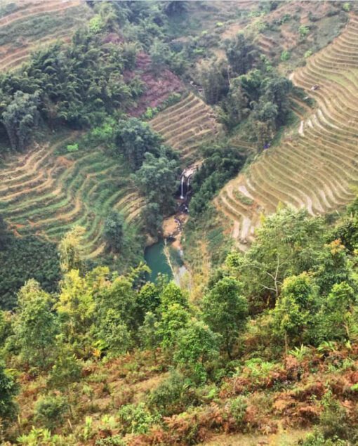 sapa trekking