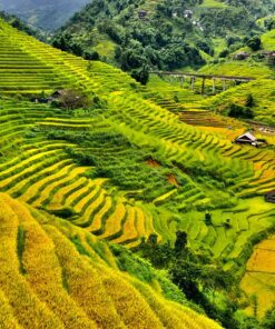 Sapa trek