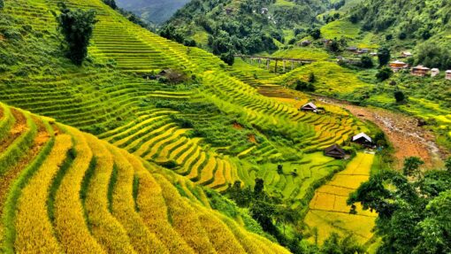 Sapa trek