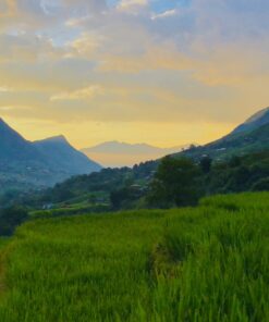 sapa trekking