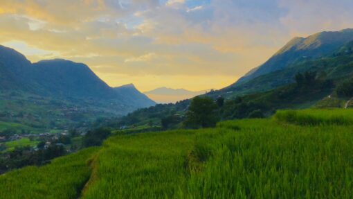 sapa trekking