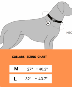         Dog collars for small dogs