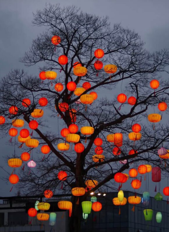 vietnamese lantern festival