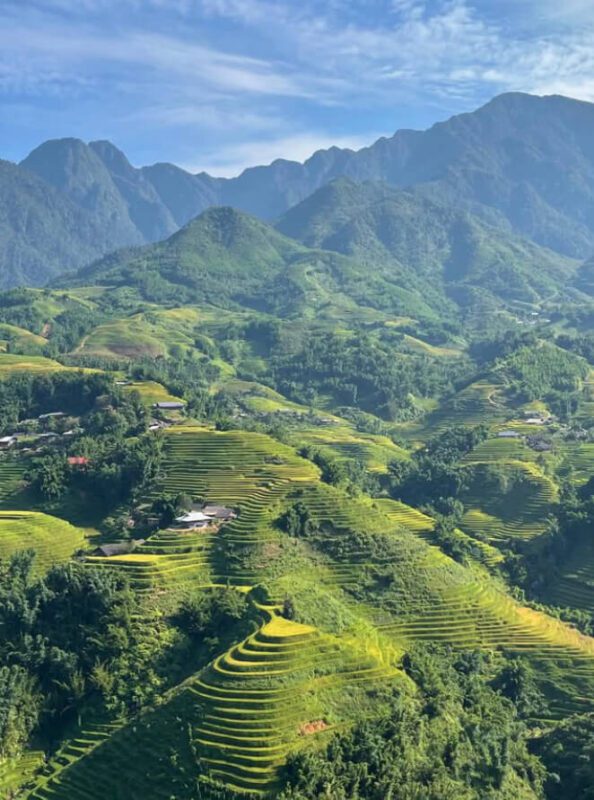 Tours by Locals Vietnam