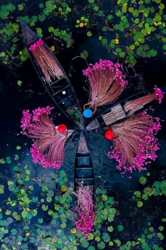 mejor época para visitar vietnam