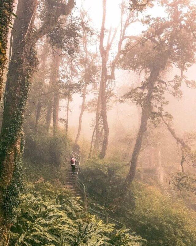 Sapa hiking trails