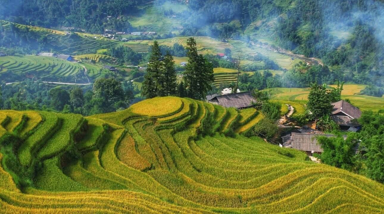 sapa-activities-trekking-rice-fields