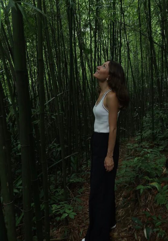 Sapa terraced rice fields trekking route