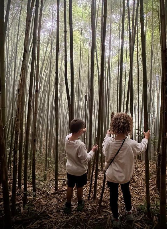 Sapa Bamboo Trail Hike