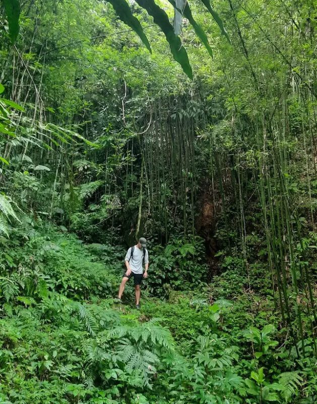 Sapa Bamboo Trail Hike