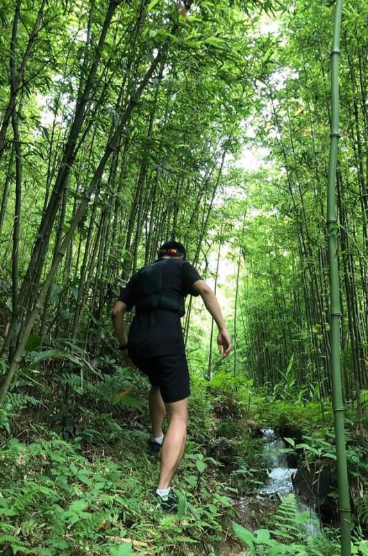 Sapa Bamboo Trail Hike