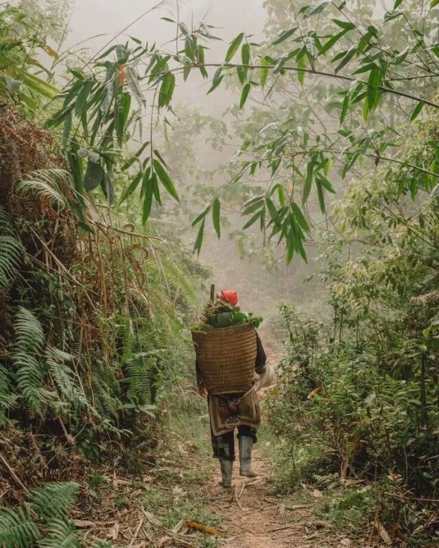 Trek Sapa 1  jours 