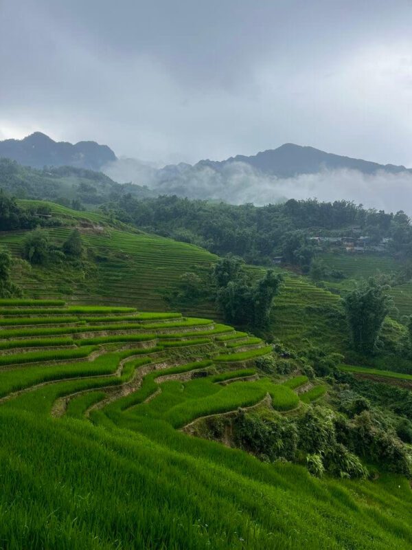 hikes in sapa 