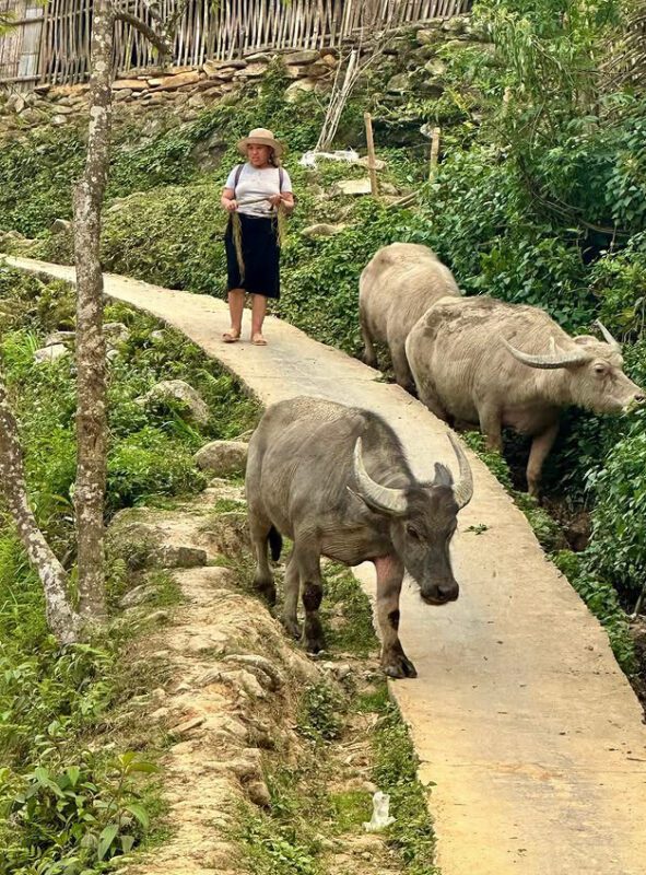 sapa trekking routes 