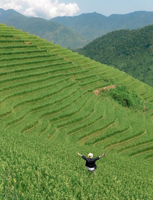 Person enjoying terraced rice fields