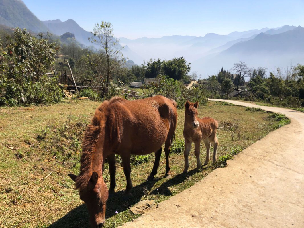 trip to sapa vietnam