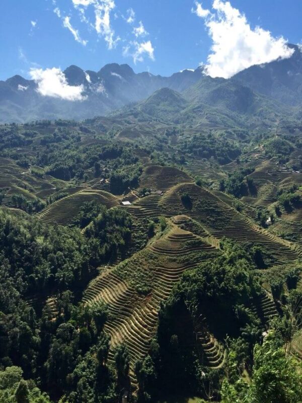 Sapa Trekking Tours