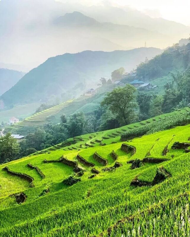 Sapa Trekking Tours