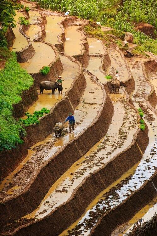 Sapa Weather in September