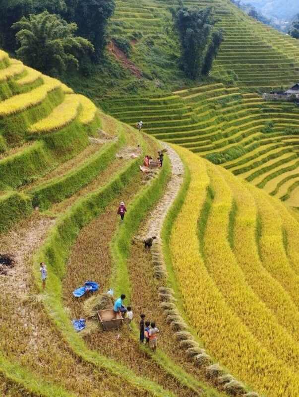 Sapa Weather in September