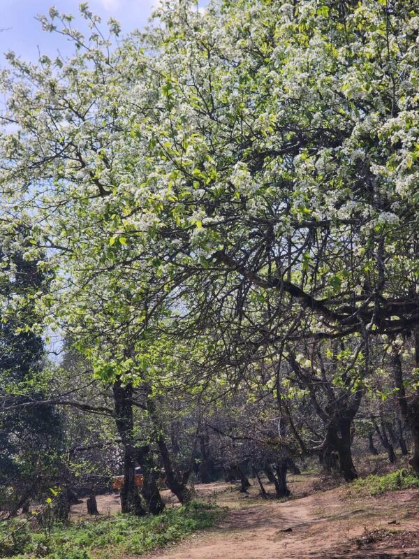 north vietnam trekking itinerary