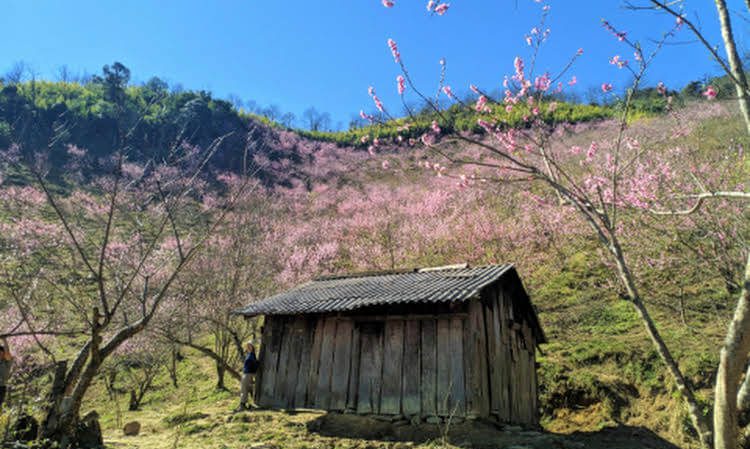 Challenging Sapa Hiking Tour