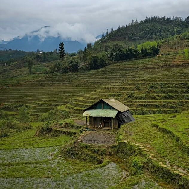 Sapa trekking for couples 2 Sapa trekking for couples