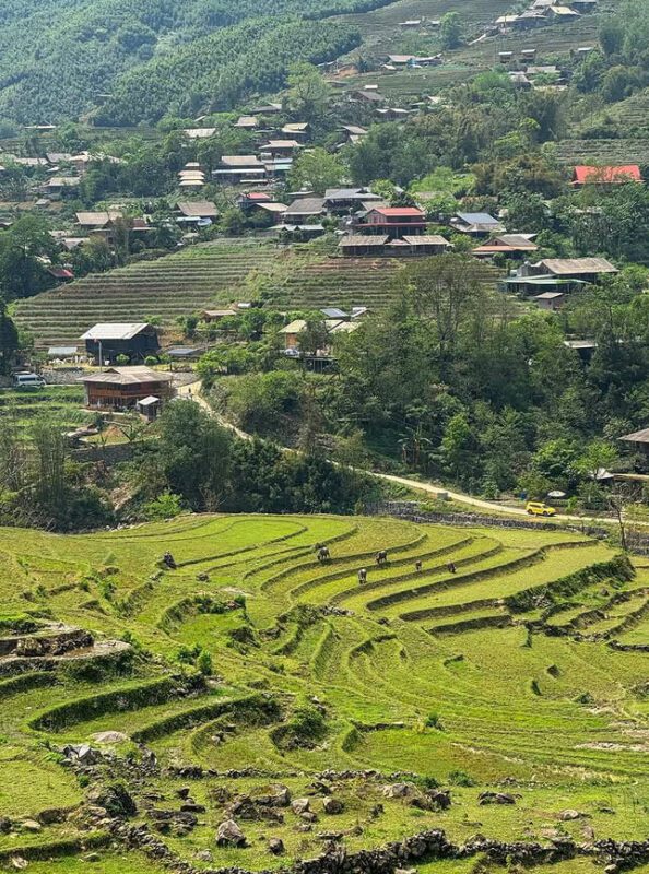beginner trekking sapa guide 