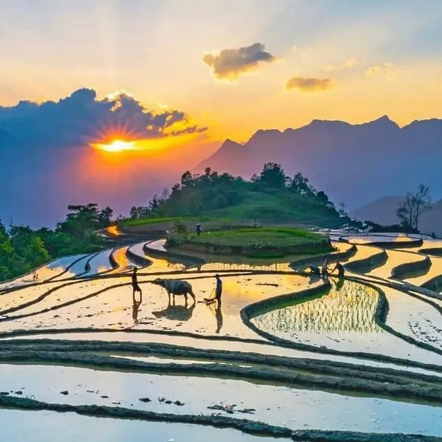 traditional village trekking sapa