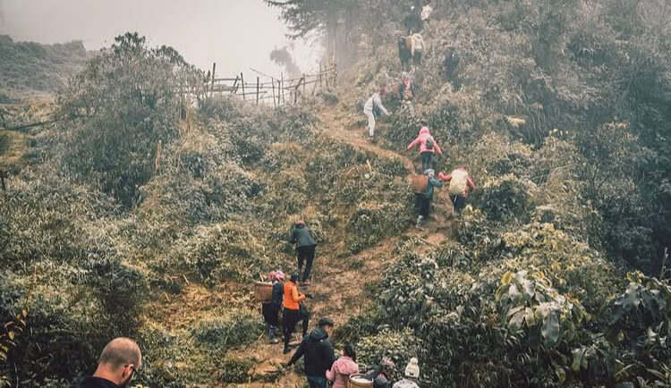 vietnam hiking tours 