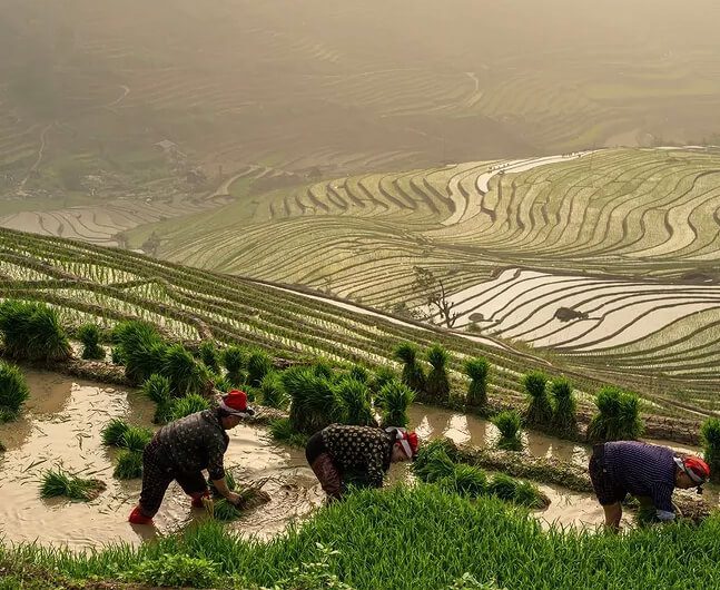 adventure trekking sapa