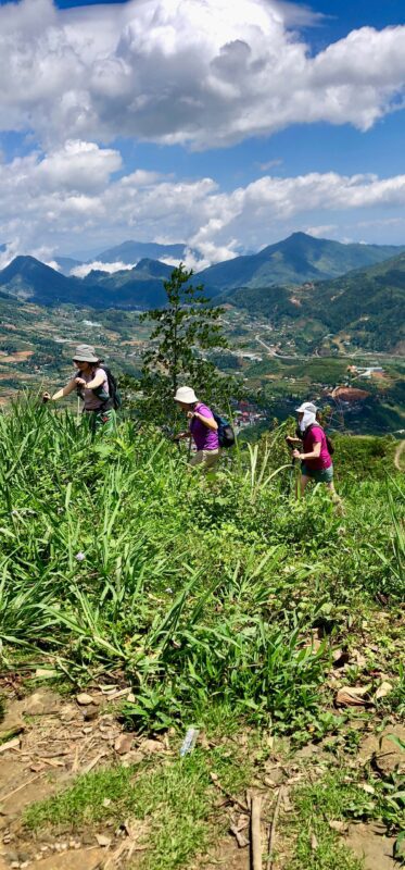 easy rice field walks sapa
