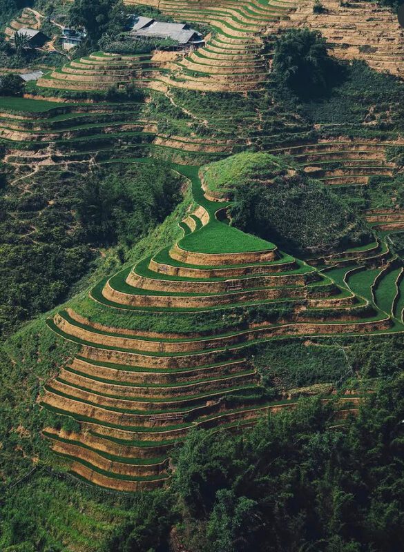 how to plan a trip to sapa vietnam