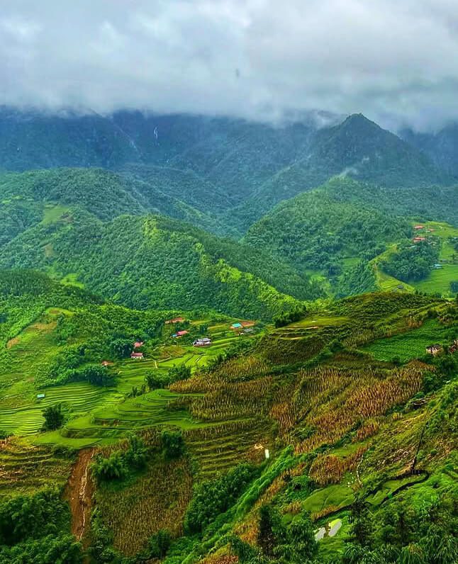 local women trekking guides