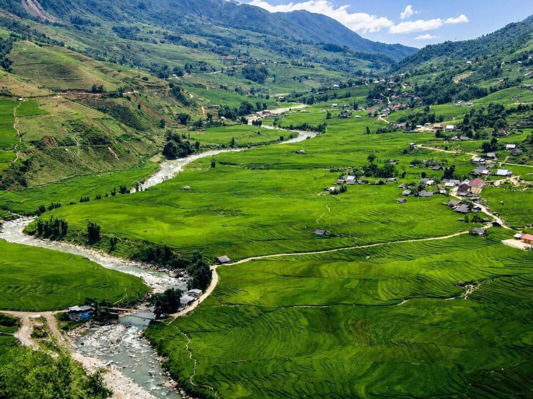 rice terrace trekking vietnam