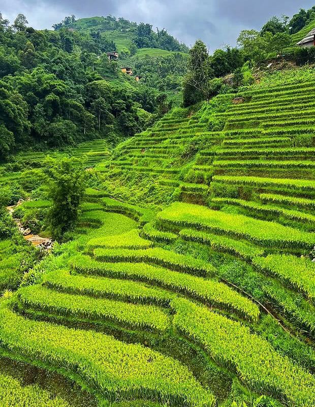 trusted local guide in sapa